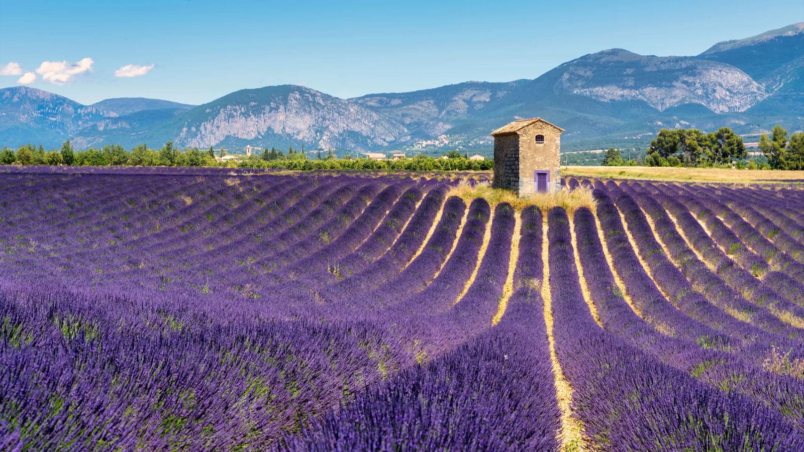 Provence Homes for Sale & Luxury Villas MUST PRESTIGE REAL ESTATE www.mustprestige.com